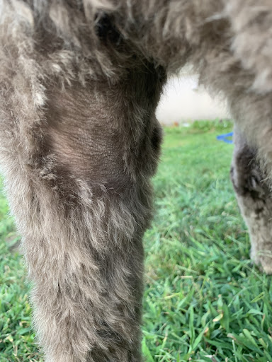 Pet Supply Store «Petco Animal Supplies», reviews and photos, 1333 Centennial Ave, Piscataway Township, NJ 08854, USA