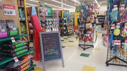Pet Supply Store «Pet Supplies Plus», reviews and photos, 4405 Milestrip Rd, Blasdell, NY 14219, USA