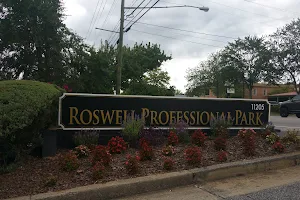 Roswell Professional Park image