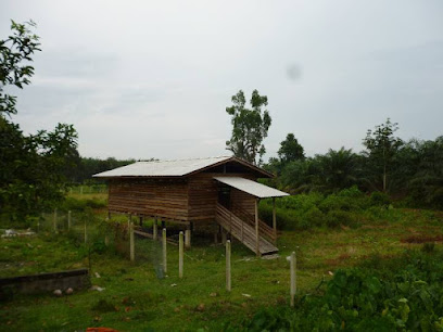 Kandang Lembu Pokok Setul