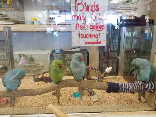 Pet Store «Fosters Exotic Pet Center», reviews and photos, 40116 US Hwy 19 N, Tarpon Springs, FL 34689, USA