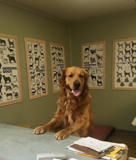 Fuzzy Friends Grooming Boutique