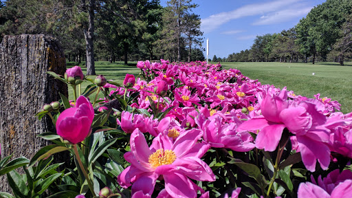 Golf Course «Bellwood Oaks Golf Course», reviews and photos, 13239 210th St E, Hastings, MN 55033, USA