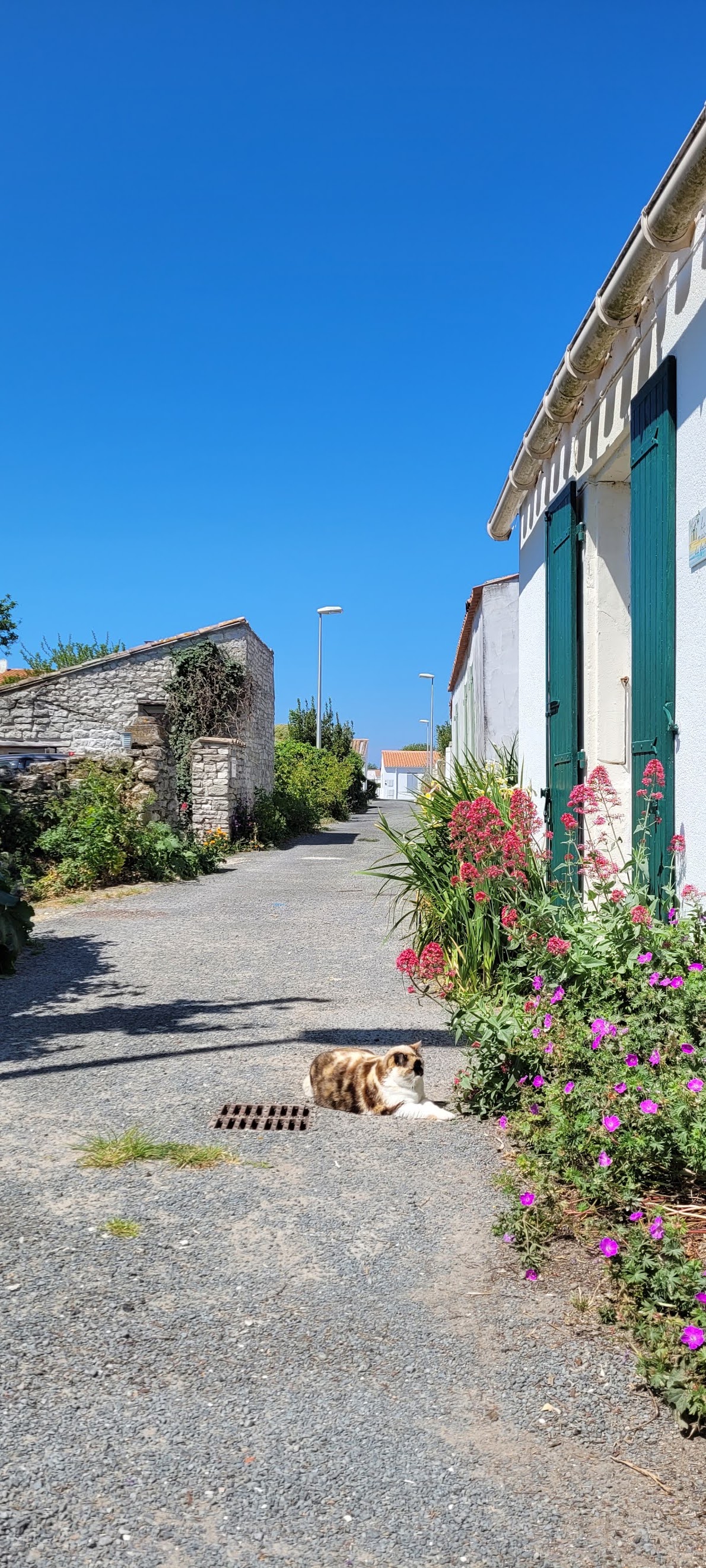 Photo n° 1 de l'avis de TlaSa. fait le 10/09/2021 à 12:56