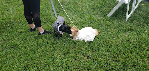 Country Club «Ramblewood Country Club», reviews and photos, 200 Country Club Pkwy, Mt Laurel, NJ 08054, USA