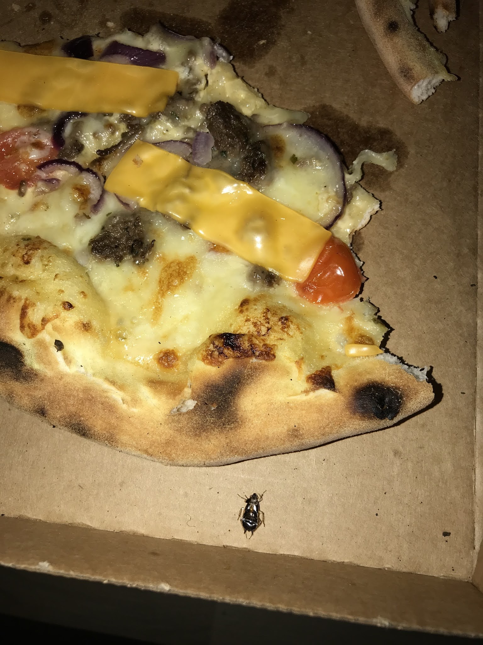 Photo n° 1 de l'avis de Quentin. fait le 23/10/2020 à 21:16