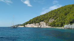 Photo de Skopelos beach avec un niveau de propreté de très propre