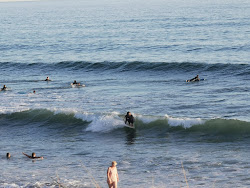 Plage du Loc'h'in fotoğrafı vahşi alan