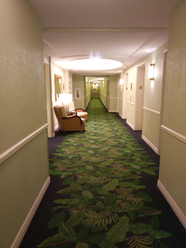 Beach Resort «The Miami Beach Resort & Spa», reviews and photos, 4833 Collins Ave, Miami Beach, FL 33140, USA