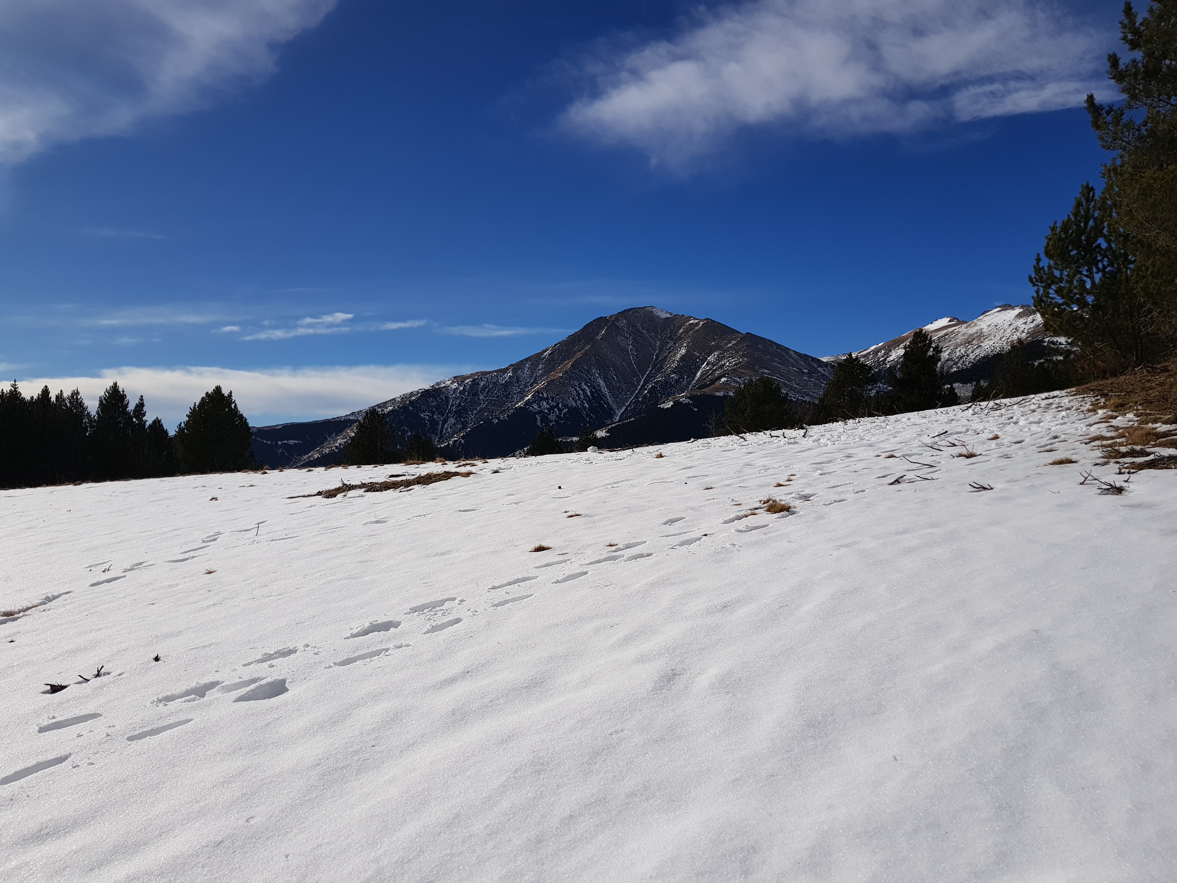 Photo n° 7 de l'avis de Delcourt.a fait le 12/04/2018 à 09:58