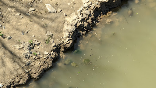 Park «Trammell Crow Park», reviews and photos, 3700 Sylvan Ave, Dallas, TX 75207, USA