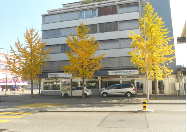 Landstrasse 52, 5430 Wettingen