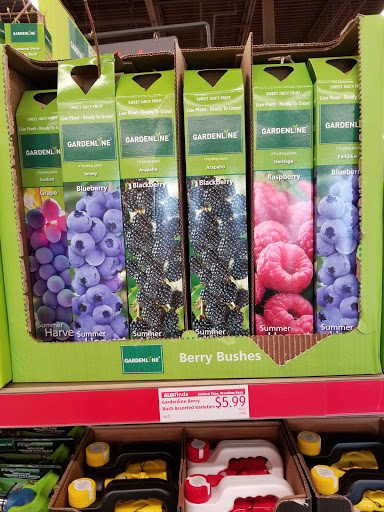 Supermarket «ALDI», reviews and photos, 139 Alexander Ave, Lake Grove, NY 11755, USA