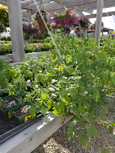 Produce Market «Kroul Farms», reviews and photos, 245 IA-1, Mt Vernon, IA 52314, USA