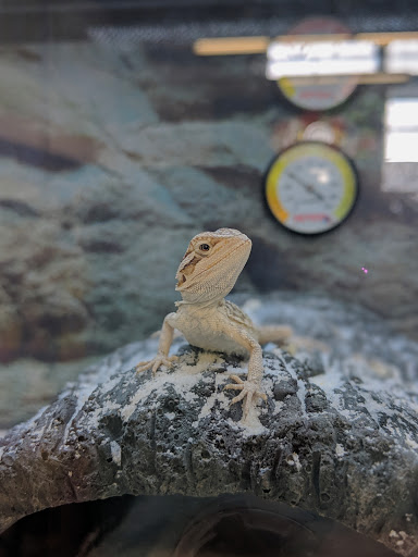 Pet Supply Store «Petco Animal Supplies», reviews and photos, 1574 N Dupont Hwy #300, Dover, DE 19901, USA