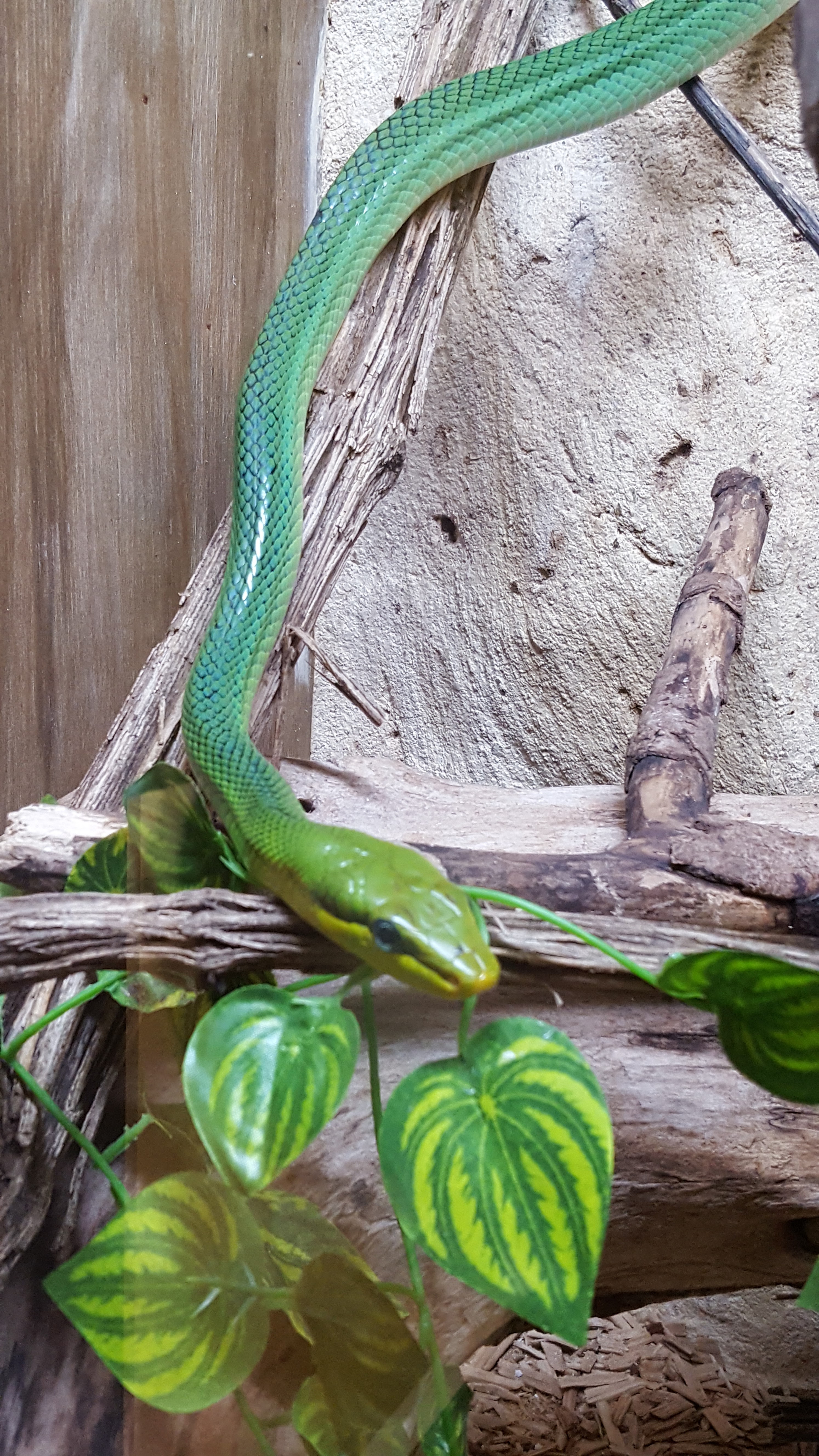 Photo n° 4 de l'avis de Thierry. fait le 23/07/2019 à 16:52