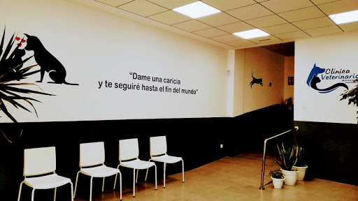 Clínica Veterinaria Manzanares en Manzanares