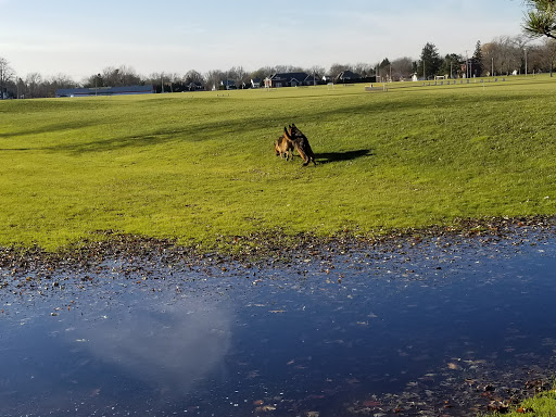 Golf Course «Niagara County Golf Course», reviews and photos, 314 Davison Rd, Lockport, NY 14094, USA