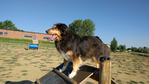 Dog Park «Grandview Dog Park», reviews and photos, 17500 E Quincy Ave, Aurora, CO 80015, USA