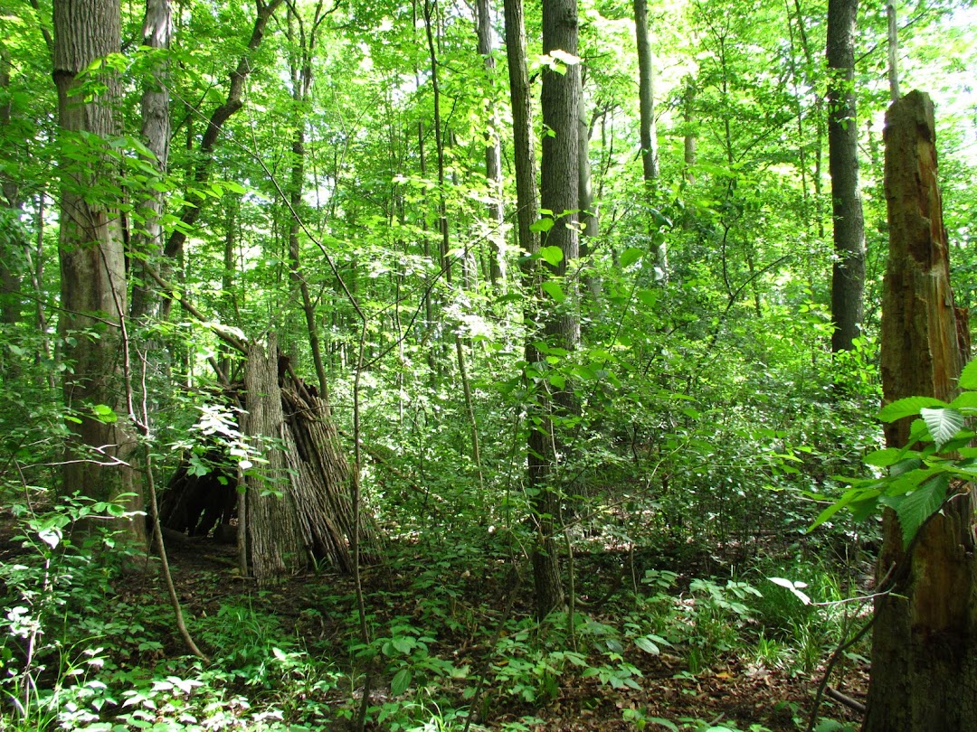 Folkstone Park