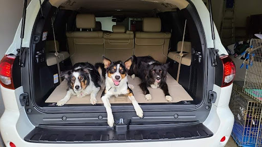 Toyota Dealer «Koons Toyota Easton», reviews and photos, 6730 Ocean Gateway, Easton, MD 21601, USA