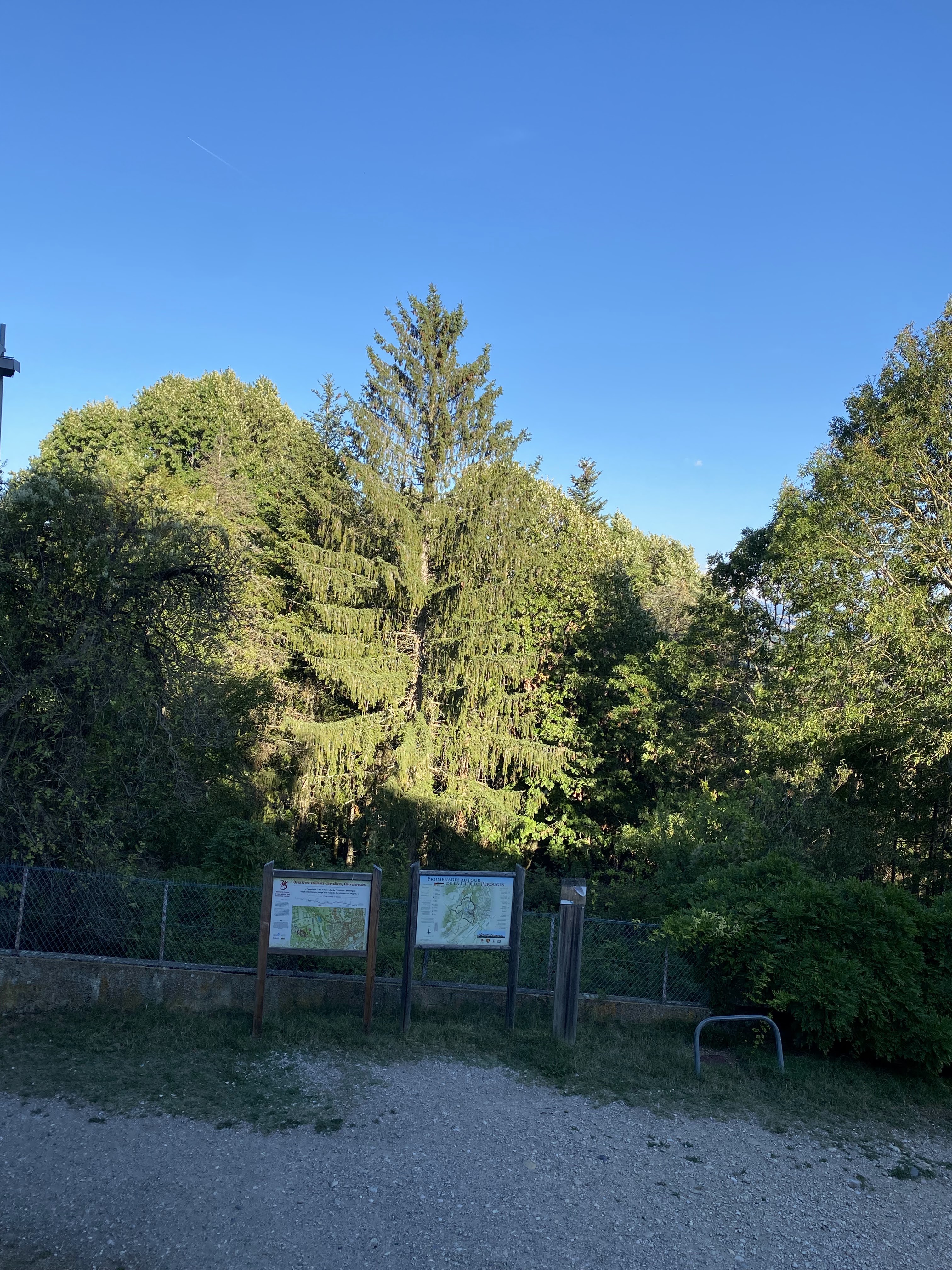 Photo n° 3 de l'avis de Denis.u fait le 17/09/2023 à 15:07