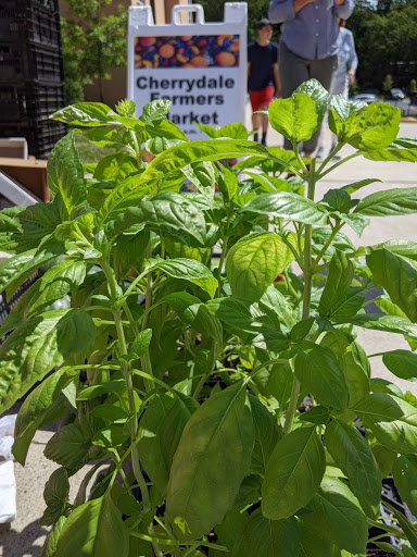 Cherrydale Farmers Market