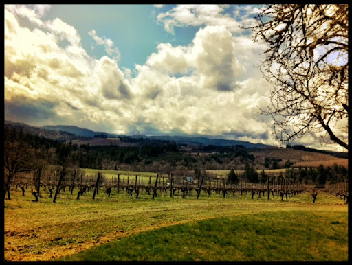 Vineyard «Tualatin Estate Vineyard», reviews and photos, 10850 NW Seavey Rd, Forest Grove, OR 97116, USA