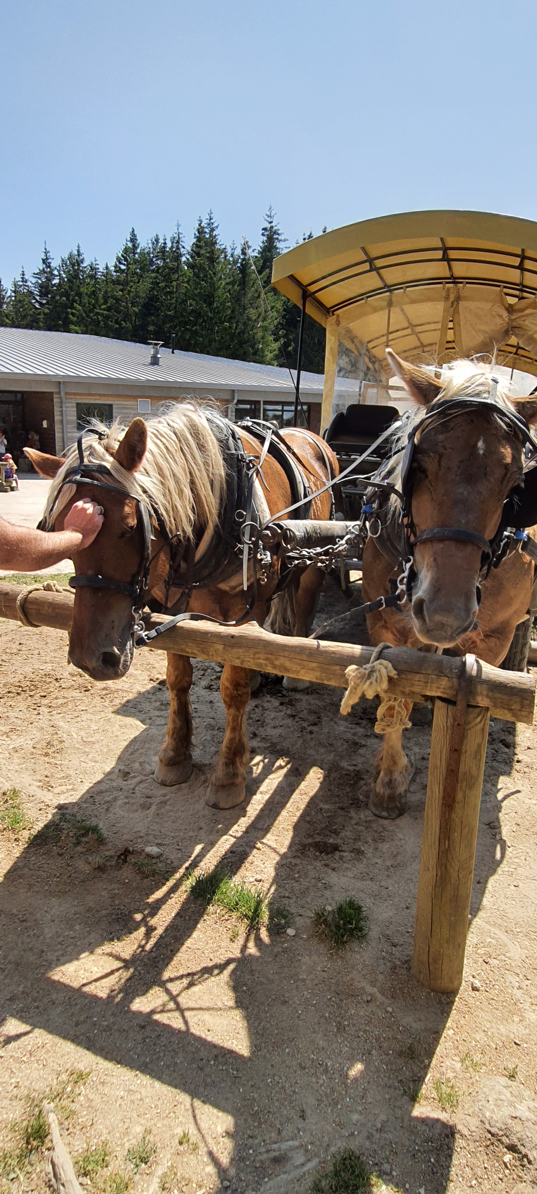 Photo n° 6 de l'avis de Benjamin.o fait le 22/08/2021 à 17:09