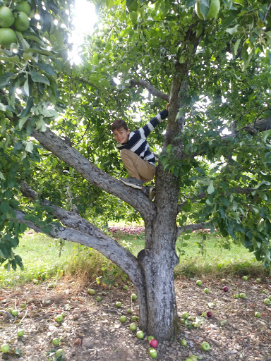 Community Center «Lawrence Barn Community Center», reviews and photos, 28 Depot Rd, Hollis, NH 03049, USA
