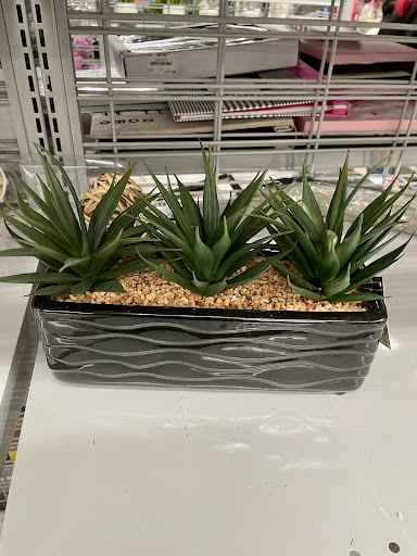 Clothing Store «Burlington Coat Factory», reviews and photos, 290 Turnpike Rd #10, Westborough, MA 01581, USA