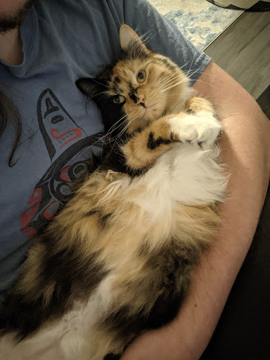 Pet Supply Store «Petco Animal Supplies», reviews and photos, 10225 Ocean Hwy #501, Pawleys Island, SC 29585, USA