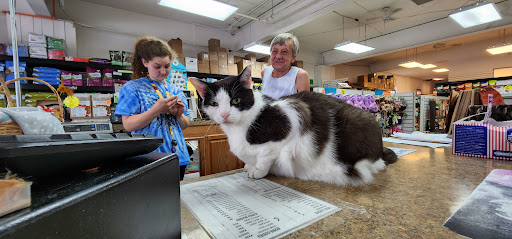 Pet Trainer «Healthy Pet Center», reviews and photos, 154 Delaware Ave, Delmar, NY 12054, USA