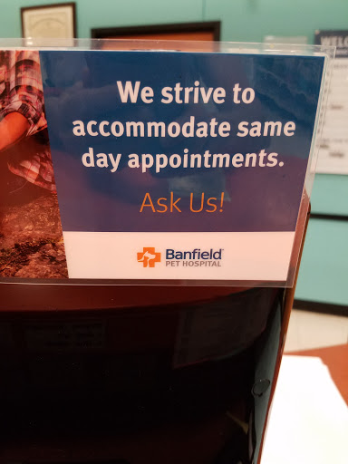 Pet Supply Store «PetSmart», reviews and photos, 7616 Denton Hwy #532, Watauga, TX 76148, USA