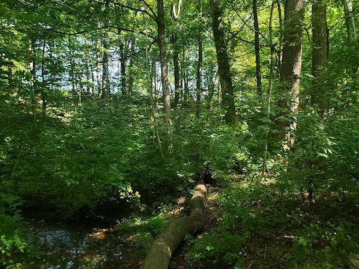 Golf Course «Delaware Golf Club», reviews and photos, 3329 Columbus Pike, Delaware, OH 43015, USA