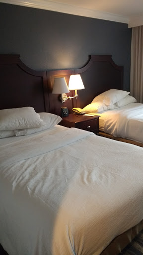 Hotel «Embassy Suites by Hilton Tampa Brandon», reviews and photos, 10220 Palm River Rd, Tampa, FL 33619, USA