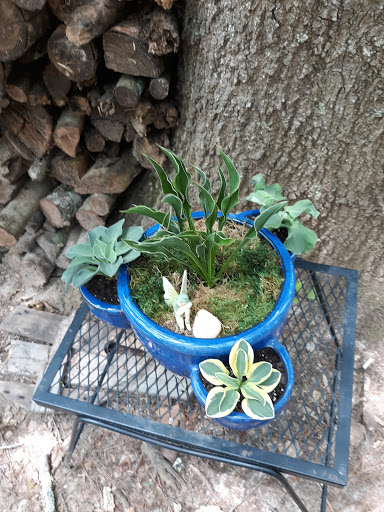 Hardware Store «Southern Home & Ranch Center», reviews and photos, 1110 N Park St, Carrollton, GA 30117, USA