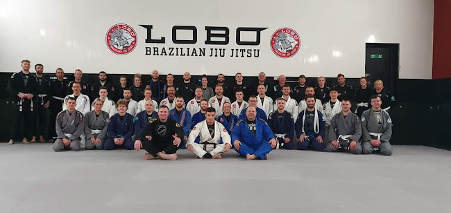 Comments and reviews of LOBO BJJ