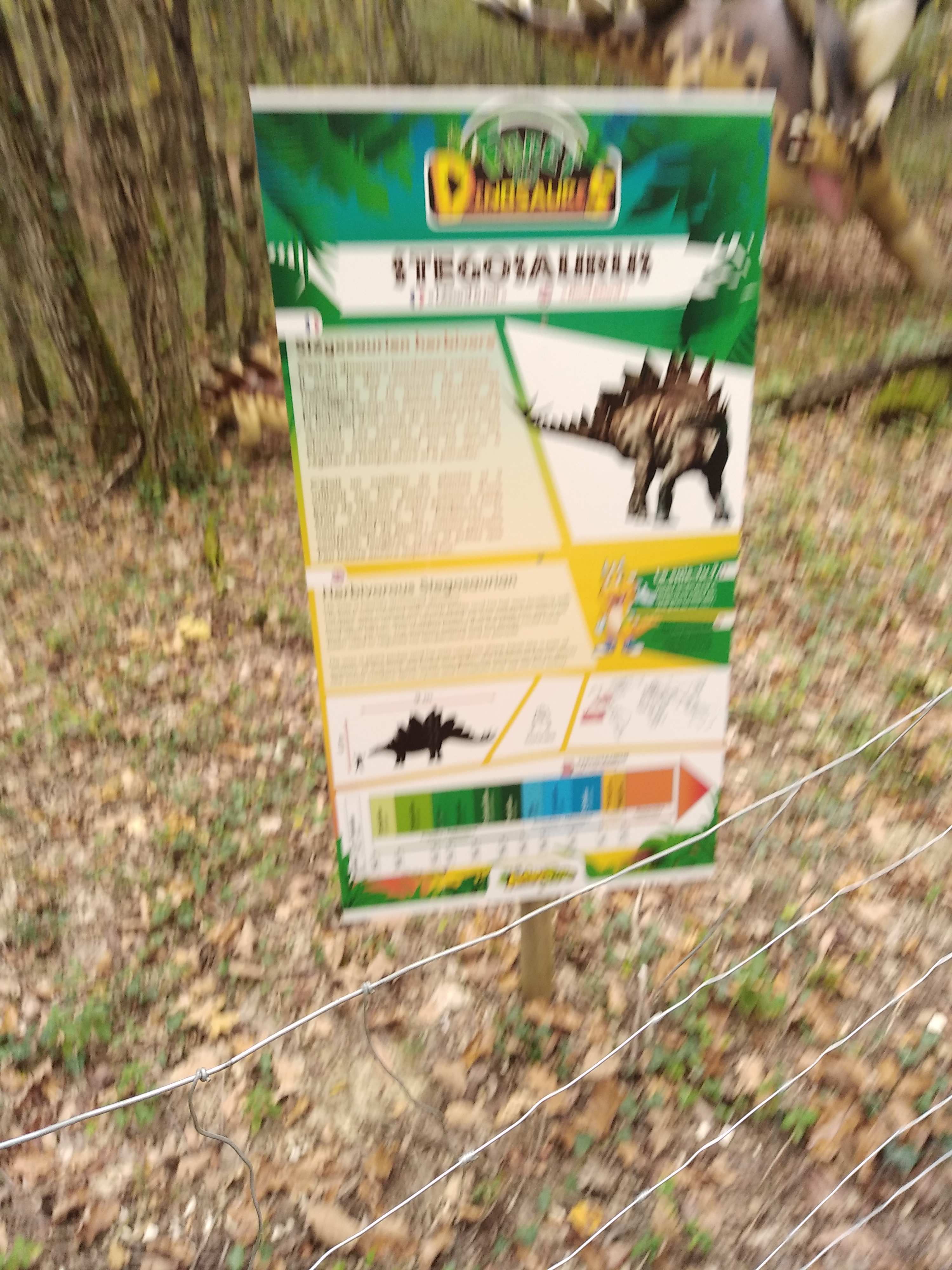 Photo n° 13 de l'avis de Mathieu.r fait le 30/10/2021 à 19:26