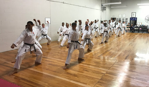 World Class Karate - Mississauga
