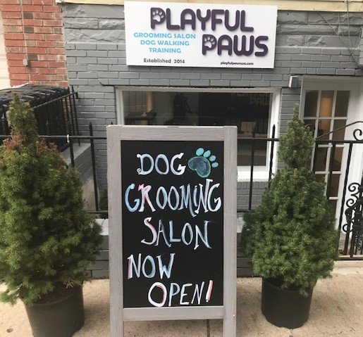 Dog Grooming & Daycare Hoboken - Playful Paws USA