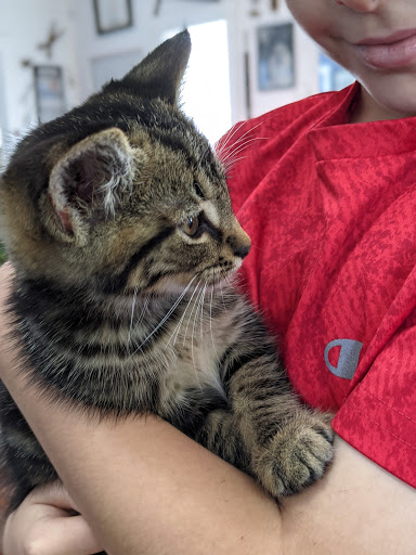 Barber Shop «The Little White House Barber Shop», reviews and photos, 11907 Fort King Hwy, Thonotosassa, FL 33592, USA