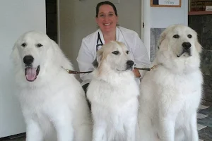 Lake Wheeler Veterinary Hospital image