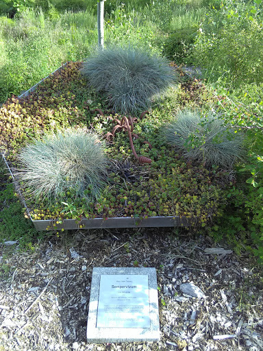 Community Center «STAR Center», reviews and photos, 3873 S 66th St, Tacoma, WA 98409, USA