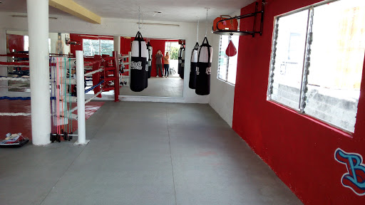 Reyes del Ring - Boxing Club