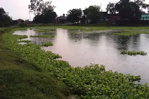 Azad Nagar Pond Garden image