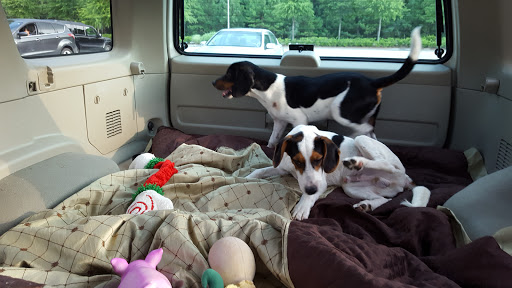 Pet Supply Store «PetSmart», reviews and photos, 916 Loganville Hwy, Bethlehem, GA 30620, USA