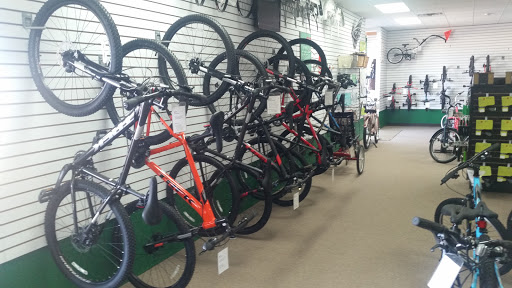 Bicycle Store «Bike Store», reviews and photos, 4025 Watson Blvd #240, Warner Robins, GA 31093, USA