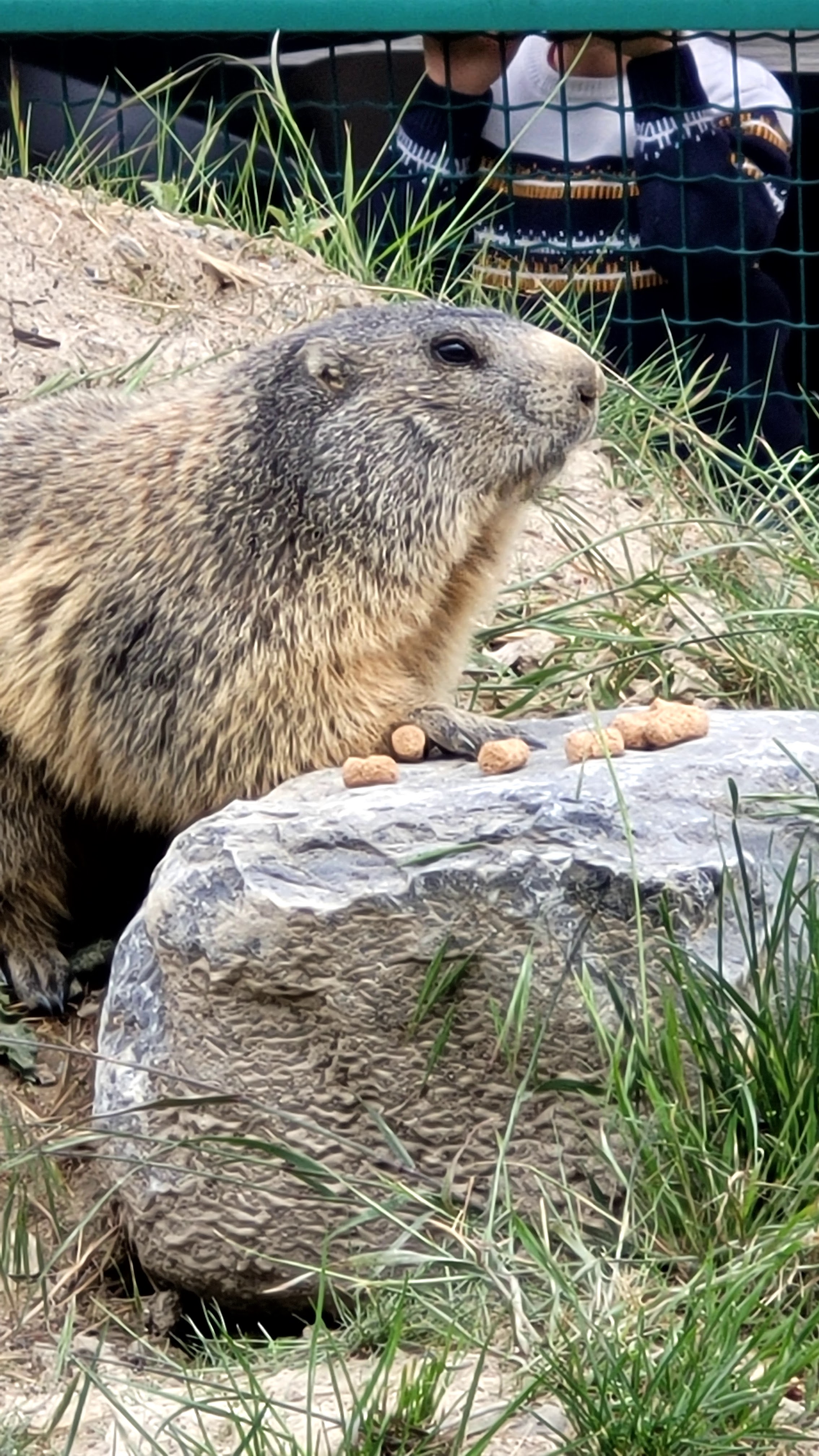 Photo n° 50 de l'avis de PASSIONS.O fait le 24/05/2023 à 09:56