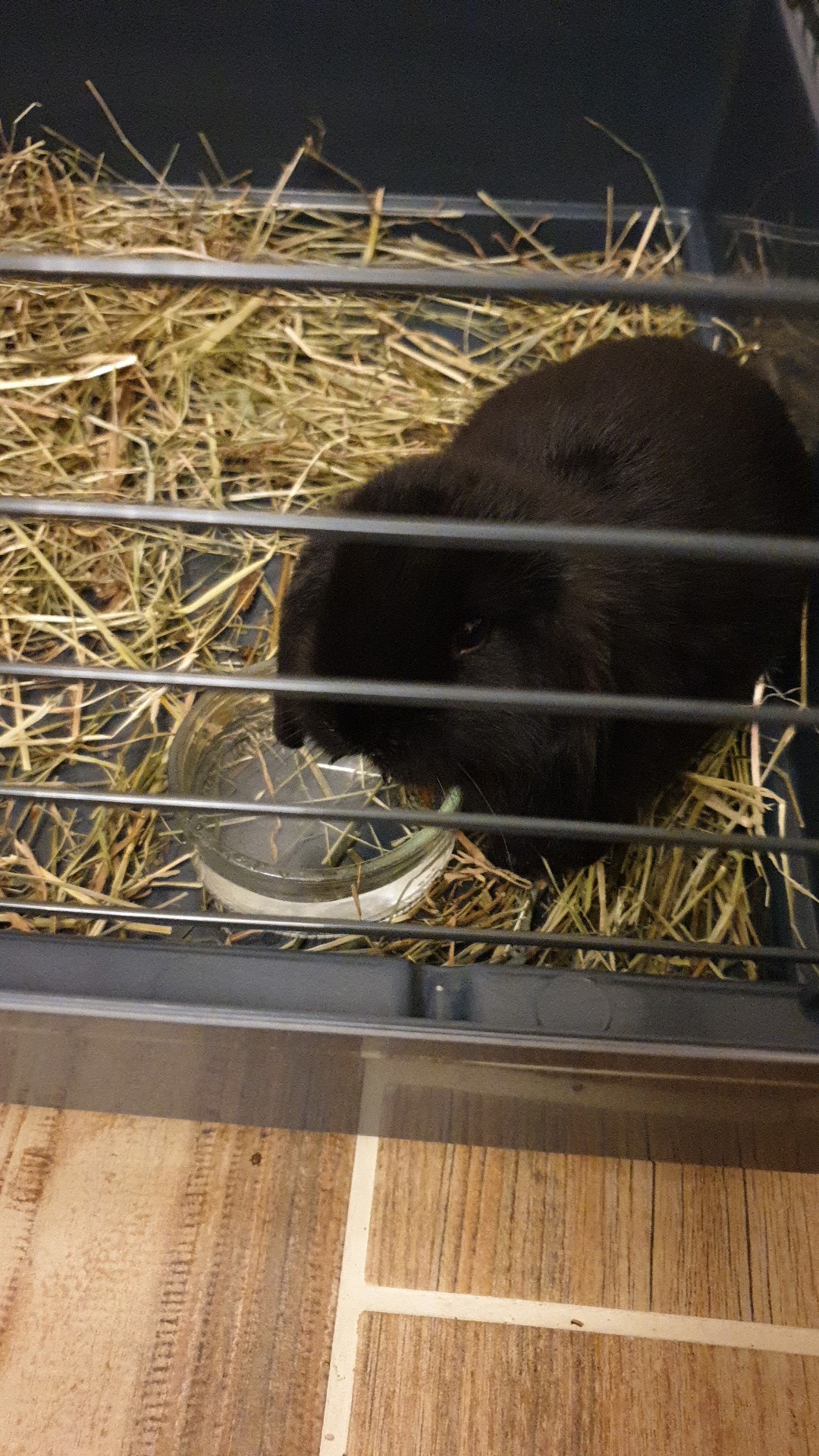 Photo n° 1 de l'avis de MarieBert.Services.e fait le 29/11/2019 à 18:40